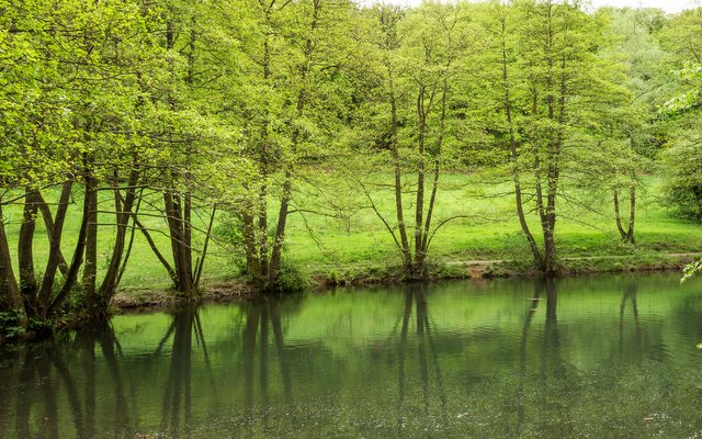 Natur | Foto: Romano Amend Natur | Foto: Romano Amend